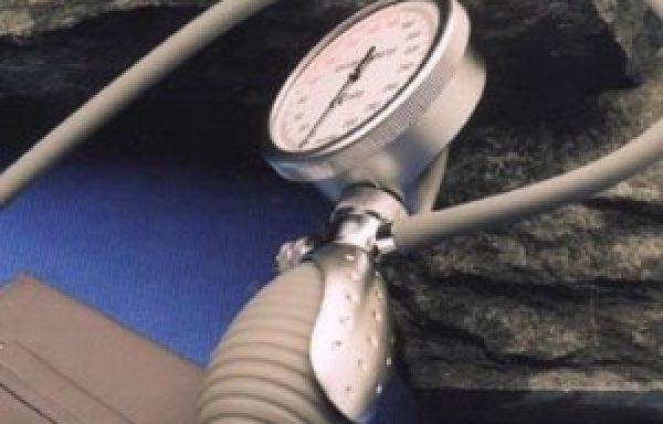 Aneroid Palm Satin Elite Blood Pressure Meter