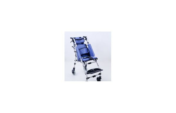 Transporter Buggy