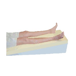 Double Leg Support Cushion
